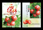 西红柿番茄展板围档新鲜水果
