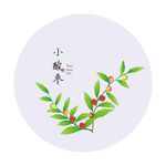 酸枣