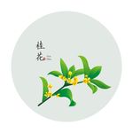 桂花