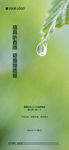 雨水