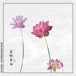 荷花壁画