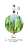 商务简洁惊蛰节气海报