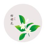 柑橘花