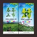 春茶上市海报