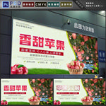 苹果采摘