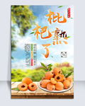 枇杷
