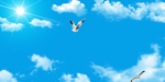 天空