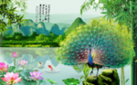牡丹孔雀图