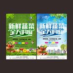 蔬菜供应海报
