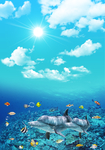 海底