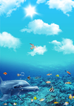 海底世界