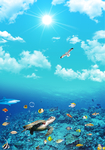 海底世界