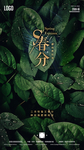 春分惊蛰节气创意