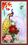 牡丹花