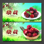 杨梅