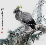 雄鹰