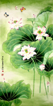 荷花