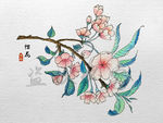 彩绘樱花