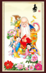老寿星