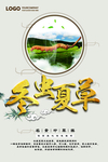 冬虫夏草海报