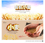 小麦