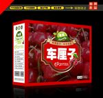 车厘子包装