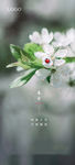 春分节气单图地产