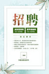 小清新招聘
