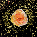 花卉画
