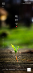 植树节