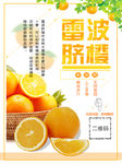 雷波脐橙海报
