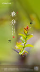 绿色春分海报