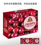 樱桃包装盒
