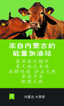 草原特产名片
