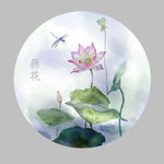 荷花