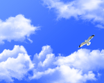 天空
