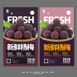 杨梅