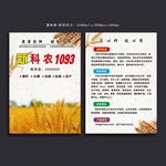 小麦宣传单