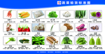 蔬菜验货标准  4D厨房