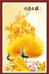 花开富贵 花好月圆