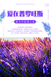 爱在普罗旺斯