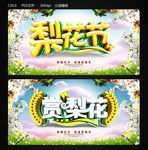 梨花节