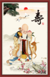 老寿星