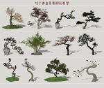 禅意庭院景观树