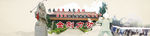 传统武术之金刚力功banner