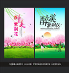 紫荆花