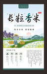 大米标签