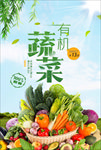 有机蔬菜农场海报模板
