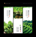 茶叶 茶叶海报 茶叶广告