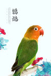 鹦鹉